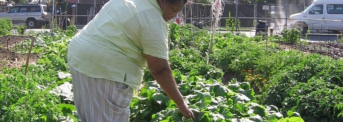urbanagriculture3.jpg